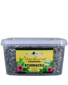 Echinacea www.starhorse.at