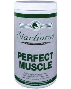 Perfect Muscle www.starhorse.at