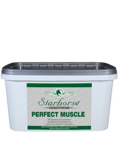 Perfect Muscle www.starhorse.at