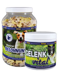 Brixx für Hunde Paket 1 www.starhorse.at