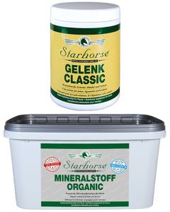 Vorteilspakete Muskelaufbau www.starhorse.at