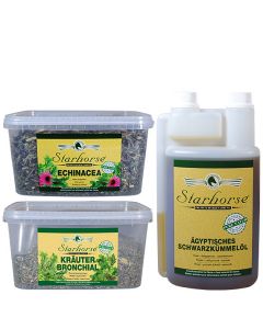 www.starhorse.at