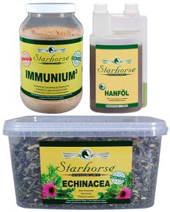 Immunsystem Paket 2 www.starhorse.at