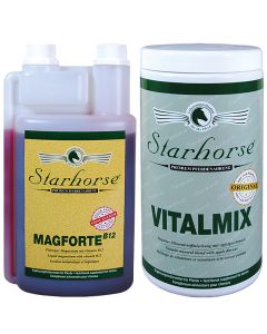 Vorteilspakete Nerven 2 www.starhorse.at