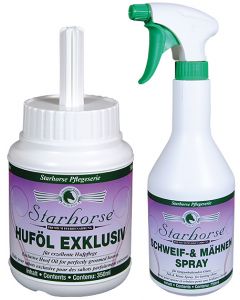 www.starhorse.at