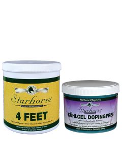 www.starhorse.at
