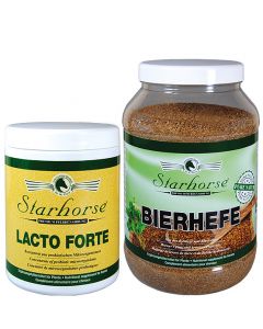 www.starhorse.at
