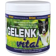 Brixx Gelenk Vital www.starhorse.at
