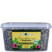 Echinacea www.starhorse.at