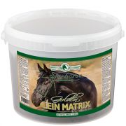 Golden Lein Matrix www.starhorse.at