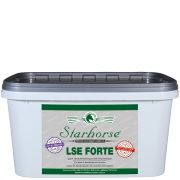 LSE Forte www.starhorse.at