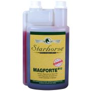 Magforte B12 www.starhorse.at