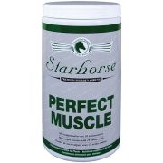 Perfect Muscle www.starhorse.at