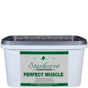 Perfect Muscle www.starhorse.at