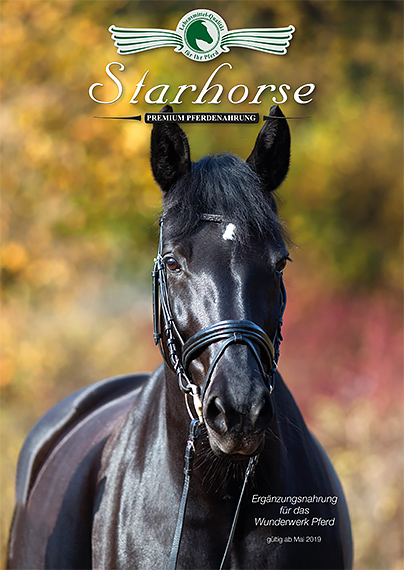 starhorse katalog